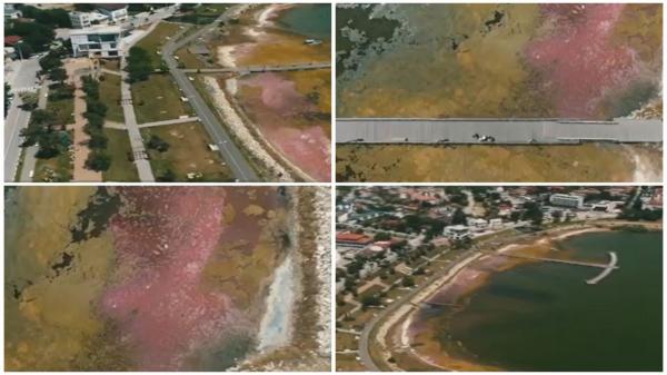 Cel mai cunoscut lac de pe litoral a devenit roz. Care este explicaţia acestui fenomen
