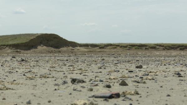 Lacul Amara a secat complet. Peisaj sumbru pe 8 kilometri pătraţi: "A fost un paradis al păsărilor sedentare sau călătoare"