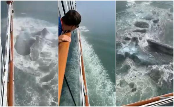"Doamne, Titanic 2.0". Momentul în care vasul de croazieră Norwegian Sun lovește o bucată dintr-un aisberg