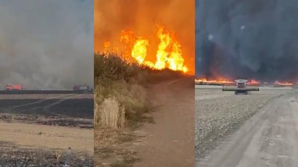 Incendiu puternic de vegetaţie în Arad. Zeci de hectare de grâu şi rapiţă au fost mistuite de flăcări