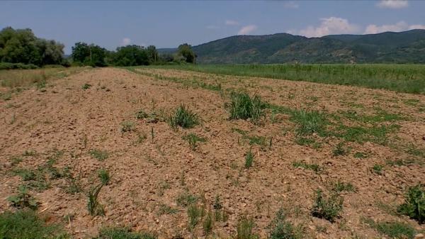 Secetă extremă în Maramureș. În unele localități autoritățile au stabilit reguli pentru folosirea apei