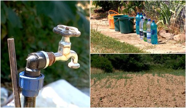 Secetă extremă în Maramureş. În unele zone nu a mai plouat de trei luni: ''Nu s-a mai întâmplat aşa''