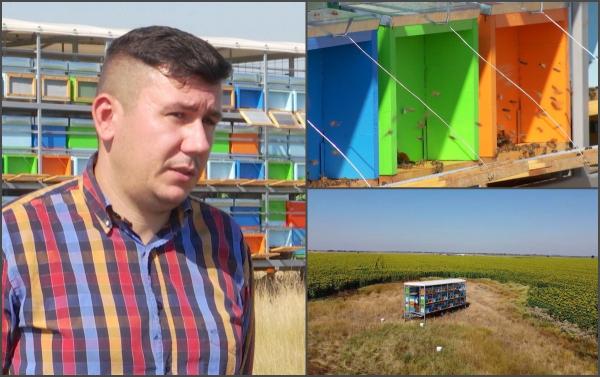 Radu a investit 30.000 de euro în 58 de stupi, doar că vremea capricioasă i-a dat afacerea peste cap: "Am cheltuit undeva la 9.000 de lei doar pe motorină"