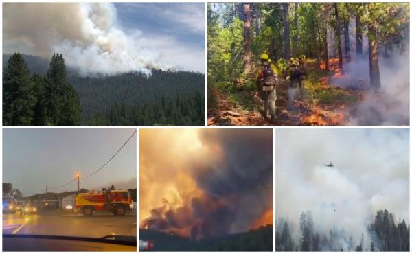 Incendiile fac dezastru în lume. 1000 de hectare, mistuite de flăcări în Franţa. Misiune contracronometru şi pentru pompierii din SUA