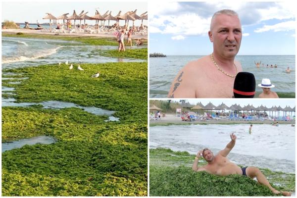 ”E ultimul an când mai vin în România”. Cu banii dați, turiștii au făcut plajă pe munți de alge urât mirositoare