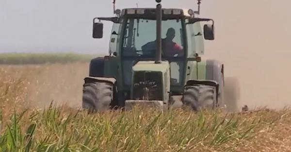 25.000 ha cultivate, distruse de secetă în Buzău. Fermierii şi-au luat gândul de la recolte