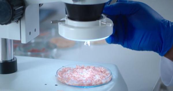 Industria agro-alimentară, la un nou nivel: În viitor, vom putea mânca carne sau ouă produse în laborator