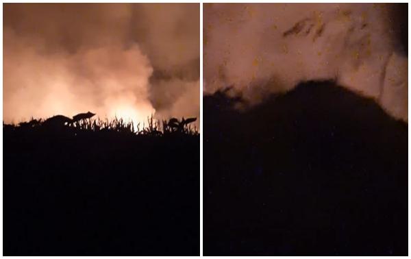 Accident aviatic în nordul Greciei: 8 persoane au murit, după ce un avion cargo ucrainean s-a prăbuşit. S-au auzit mai multe explozii puternice după impact