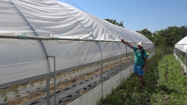 Soluţia găsită de Alexandru, un legumicultor din Hunedoara, pentru a-şi proteja producţia de caniculă. "E şi mai ieftină un pic"