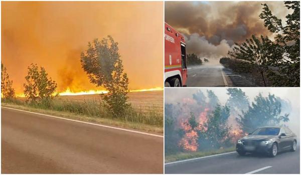 "Numai o ploaie poate să ne salveze!". Un uriaș incendiu de vegetație a izbucnit în Călărași, în apropierea unei benzinării