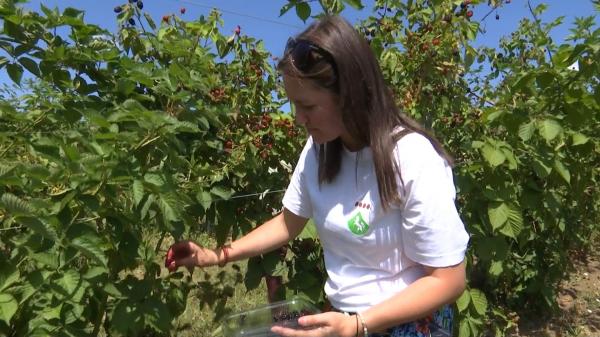 Universitatea care își plătește studenții dornici să facă practică: 3.000 de lei pe lună
