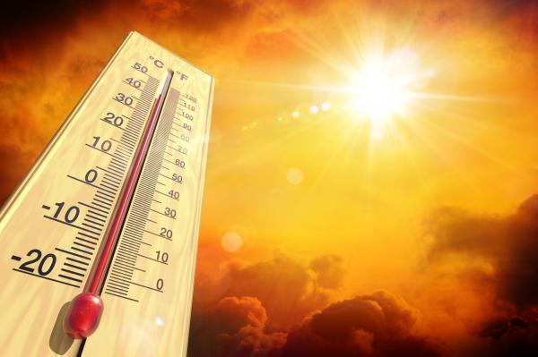 Cod portocaliu de caniculă, prelungit în sudul țării. 19 judeţe afectate, inclusiv Capitala. Temperaturi de 41 de grade şi nopţi tropicale