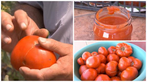 România importă de o sută de ori mai multe roșii decât exportă. Bulionul românesc, o raritate în supermarketuri