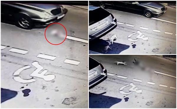 Cruzime extremă la Galaţi. Momentul în care un câine este călcat de şoferul unei maşini de la pompe funebre