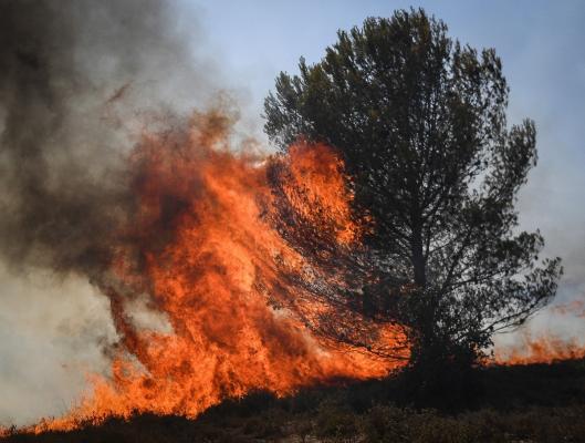 Un pensionar, principalul suspect pentru două dintre incendiile din Thassos. Bătrânul avea în maşină petarde şi materiale inflamabile