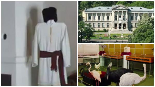 Primul județ din România care lansează un tourist-pass. Cât costă și ce obiective poți vizita cu el