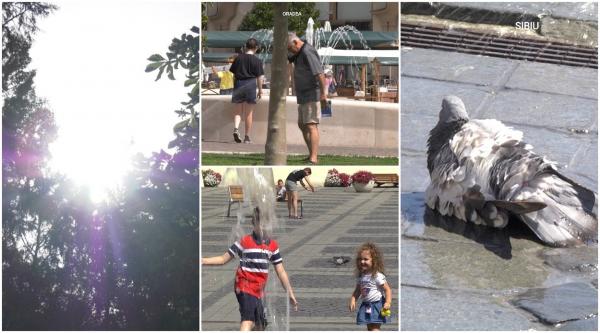 Românii se răcoresc cum pot. Fântânile arteziene sau apa de la furtunul de irigat gazonul, tratamente contra caniculei