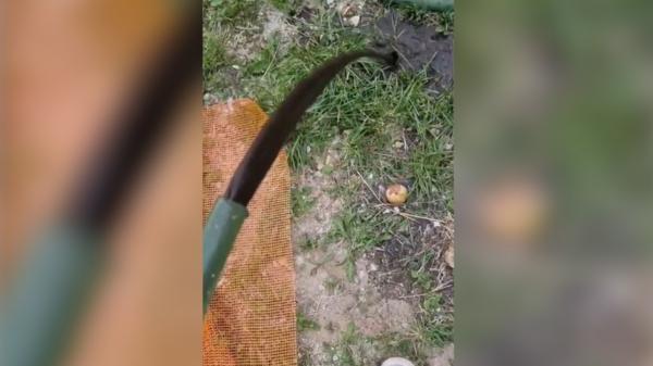 Apă cu noroi la robinet, în localitatea Baia de Fier, din Gorj. Compania susține că poate fi consumată