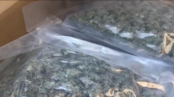 Amendă record de 750.000 de euro şi trei ani de închisoare pentru un şofer român, prins cu 200 de kg de canabis în dubă, în Franţa