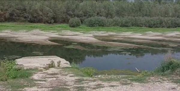 Seceta extremă dezvăluie un peisaj dezolant pe Dunăre. În unele zone, poate fi trecută la pas: "N-a mai rămas nici apă, decât pădure şi puţine băltoace"