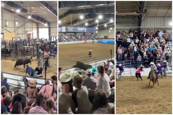 Taur furios, scăpat din arenă, a semănat teroare în tribune. Un cowboy-erou a fost salvatorul zilei la spectacolul din SUA