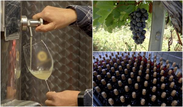 Locul din România unde tinerii pot învăţa totul despre vinul de calitate. Anual, vor fi produse aproximativ 120.000 de sticle