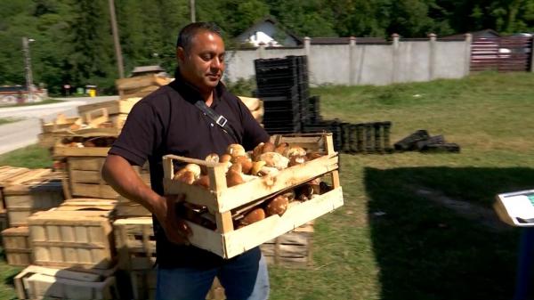 Afacerea cu care Bobi a dat lovitura afară. S-a vândut şi cu 80-90 de lei kilogramul