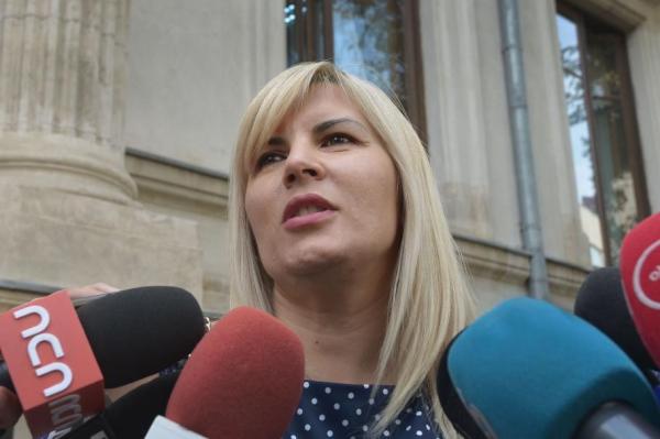 Elena Udrea atacă la CCR legile prin care i-au fost confiscaţi 4,7 milioane euro