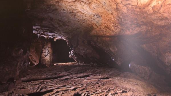 Desene vechi de 30.000 de ani, expuse la Muzeul Ţării Crişurilor