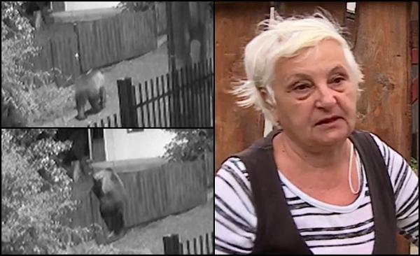 Satul în care localnicii nu mai pot dormi de frica urşilor: "Acum chiar că m-am speriat. Era distanţa dintre mine şi urs de maxim 10-15 metri"