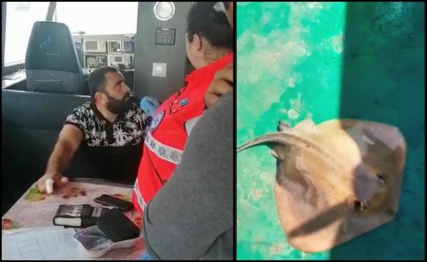 Alertă pe un vas din Marea Neagră. Marinar înţepat de o pisică de mare pe care a pescuit-o, la Sulina