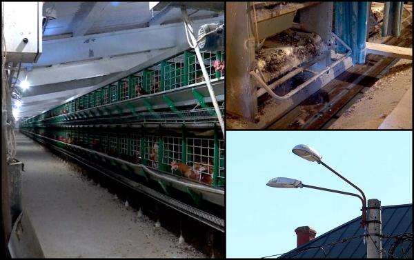 Curent electric din gunoi. Seini, o localitate unică în România: autorităţile au reuşit să asigure iluminatul public doar din energie verde