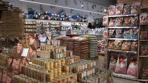 "Am face orice sacrificiu pentru ei". În plină criză, românii reduc cheltuielile cât pot, dar nu şi atunci când vine vorba de animalul de companie