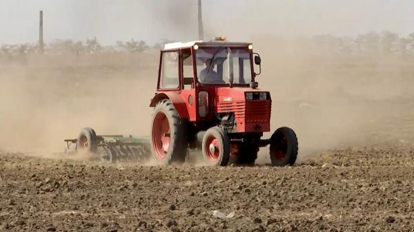 Cât de gravă a fost, de fapt, seceta din România. Cifrele care arată dezastrul din Agricultură