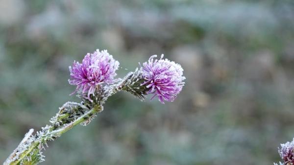 Temperaturi sub limita înghețului în Harghita. Oamenii locului, obişnuiţi cu gerul: ''Avem două straturi de pantaloni, ghete, căciulă''