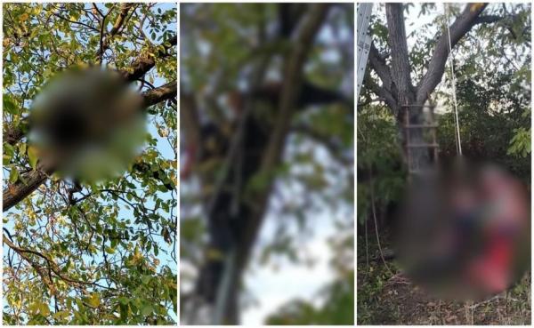 Un vasluian de 51 de ani, găsit de soţie mort într-un nuc. Bărbatul a rămas agăţat pe o creangă la 10 metri înălţime