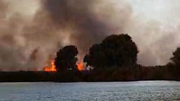 Incendiu uriaş în Deltă, între Sfântul Gheorghe şi Sulina: 60 de hectare de stuf, cuprinse de flăcări. Pompierii nu pot interveni