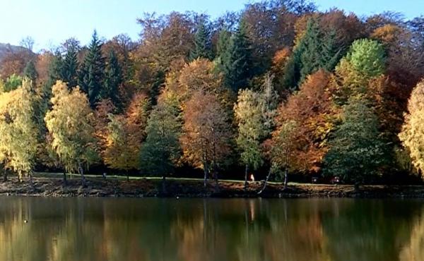 Mogoşa, locul de poveste din Maramureş care a cucerit Instagramul. Culorile toamnei, atracţii pentru fotografi şi turişti: "Este o locaţie perfectă"