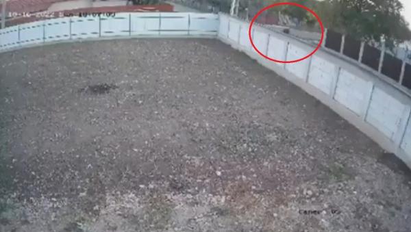 Accident mortal filmat la Gugești, în Vrancea. Motociclistul a fost aruncat zeci de metri pe șosea, după un impact devastator