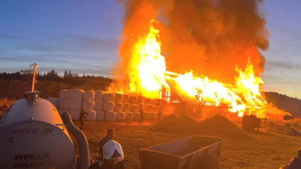 Un adăpost de animale a ars ca o torţă, seara trecută, la Suceava. Pompierii s-au luptat zeci de minute cu flăcările