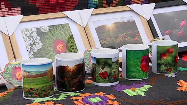 Bujorul este oficial emblema florală a României. Autoritățile au decis deja cum va fi promovat noul simbol național