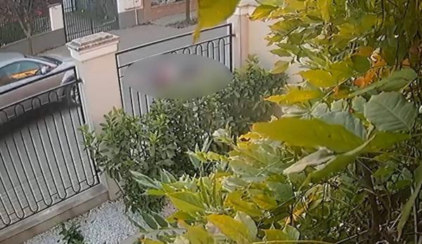 Fetiță spulberată după ce a țâșnit în fața mașinii, pe o stradă din Timiș. Copila a fost aruncată câțiva metri pe asfalt