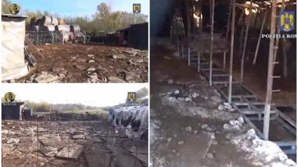 Cinci fraţi din Suceava, chinuiţi de tată timp de 6 ani. Copiii erau obligaţi să muncească la ferma familiei aproape 20 de ore pe zi