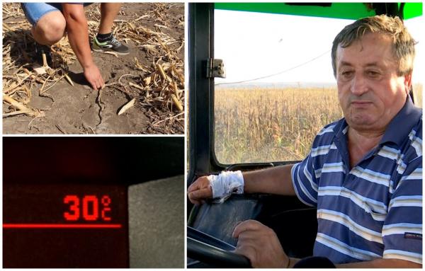 "Nu merge, dacă nu dă Dumnezeu ploaie". Vara "fără sfârşit" din România, catastrofă pentru agricultură. Ce temperaturi ne aşteaptă la început de noiembrie