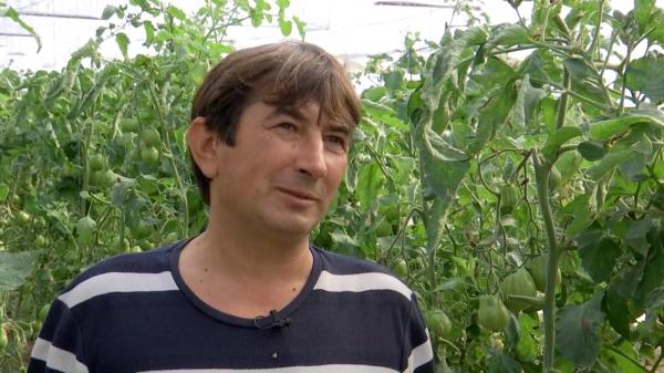 Ideea prin care un român şi-a făcut afacerea extrem de profitabilă. Vecinii au început să îl copieze: "Merge genial"