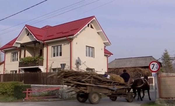 Un copac s-a prăbușit peste un băiat de 16 ani, în Botoșani. Adolescentul fusese tocmit să taie salcâmii din curtea unui localnic