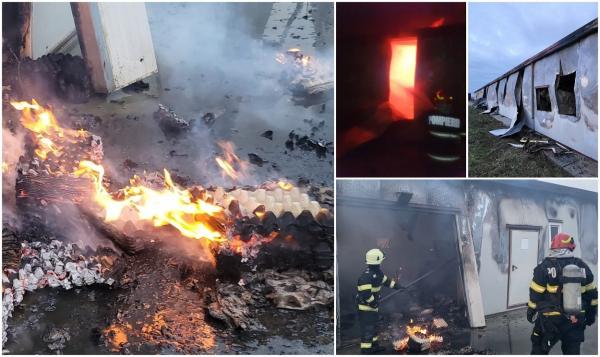 9.000 de găini au ars de vii într-un incendiu uriaș, la o fermă din Satu Mare. Nicio pasăre din hala cuprinsă de flăcări nu a supraviețuit