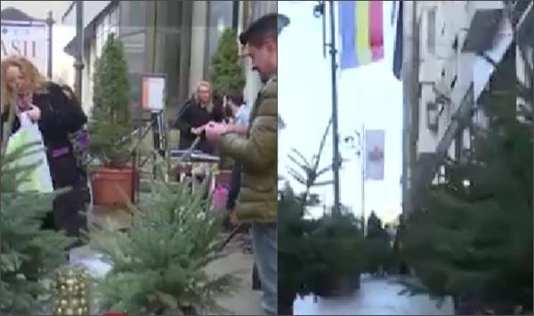 "E o parte dintr-un zâmbet". 100 de brăduți "adoptați" de ieșeni vor ajunge în casele copiilor nevoiași