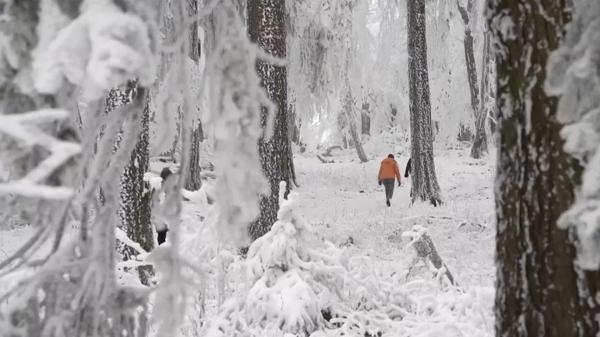Gerul a pus stăpânire pe Europa: Germania, sub cod roşu de ninsoare, iar poleiul a devenit problematic în Franţa şi Marea Britanie