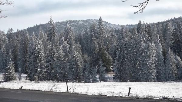 Temperaturi de -12 grade în Harghita. Localnicii au s-au trezit de la prima oră pentru a-şi dezgheţa maşinile